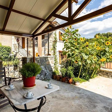 Stemnitsa Stone Residence - Cosy Mountain Escape Екстер'єр фото
